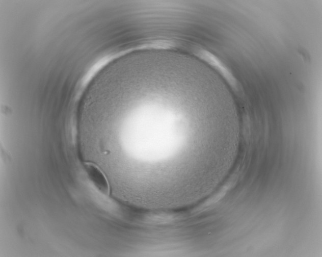 X0000090951083200708021332