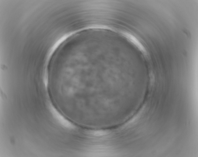 X0000090951084200708021332