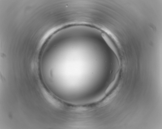 X0000090951085200708021332