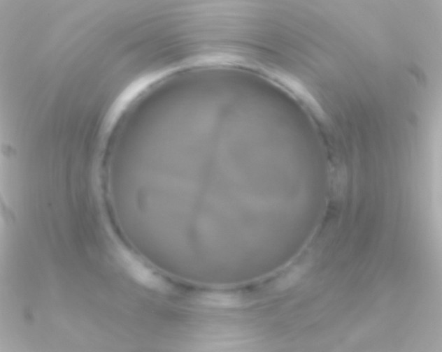 X0000090951086200708021332