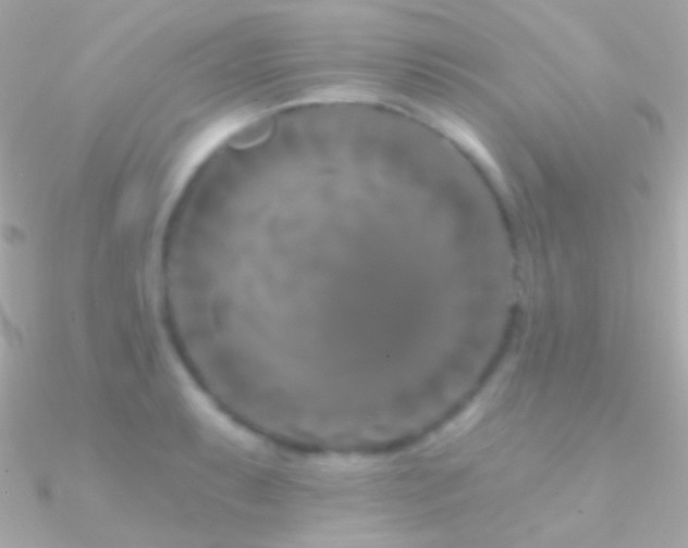 X0000090951087200708021332