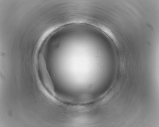 X0000090951088200708021332