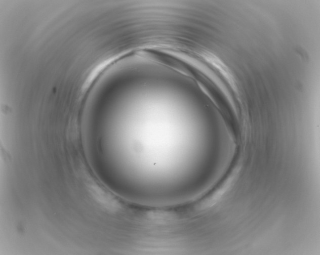 X0000090951089200708021332