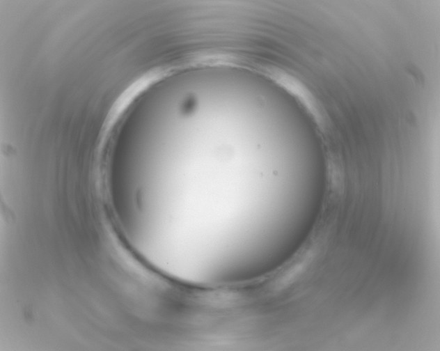 X0000090951090200708021332