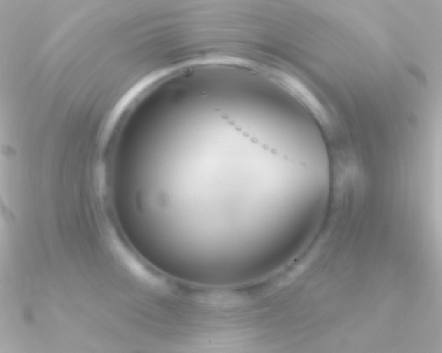 X0000090951092200708021332