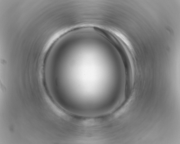 X0000090951093200708021332