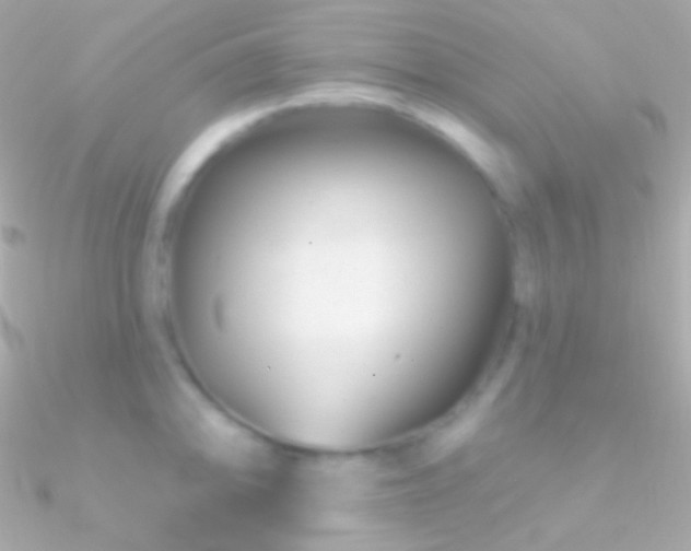 X0000090951094200708021332