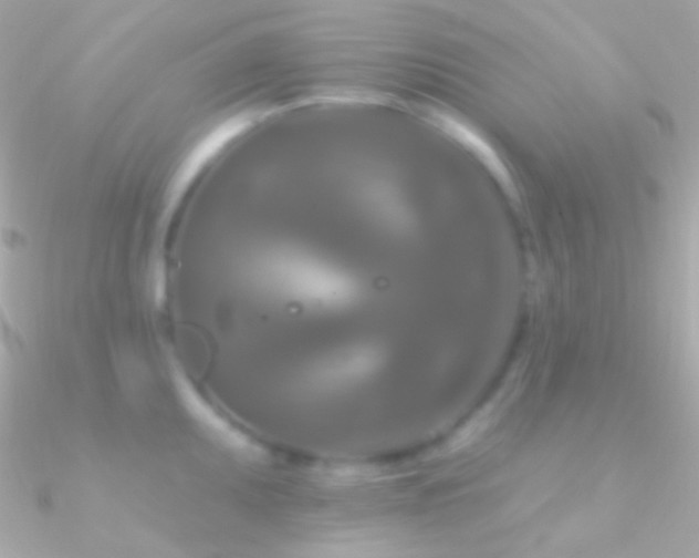 X0000090951095200708021332