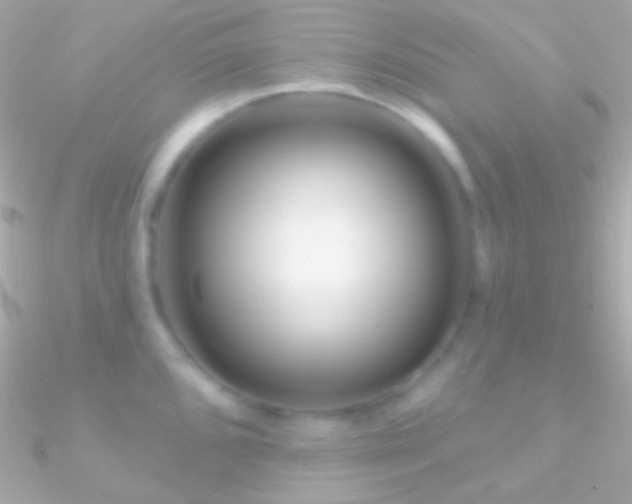 X0000090951096200708021332