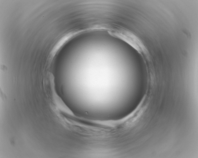X0000090951097200708021332