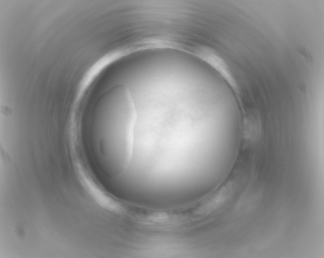 X0000090951098200708021332