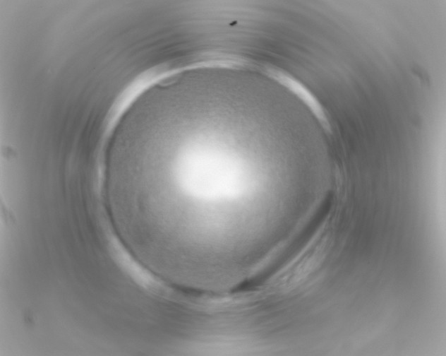 X0000090951099200708021332
