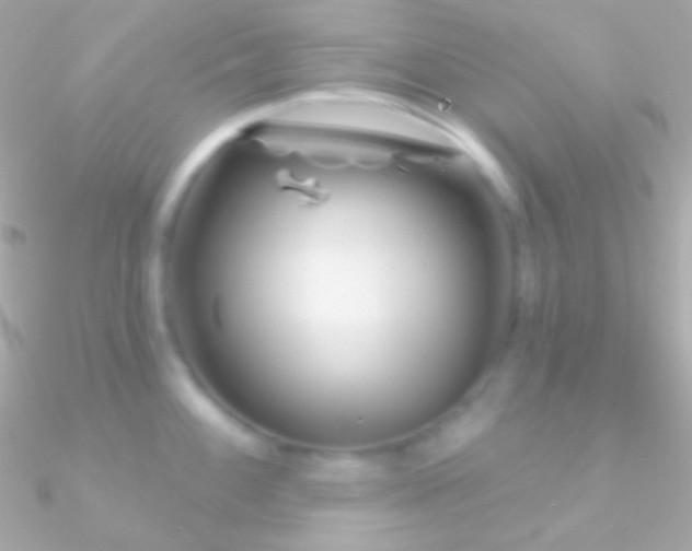 X0000090951100200708021332