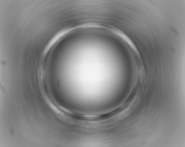 X0000090951101200708021332