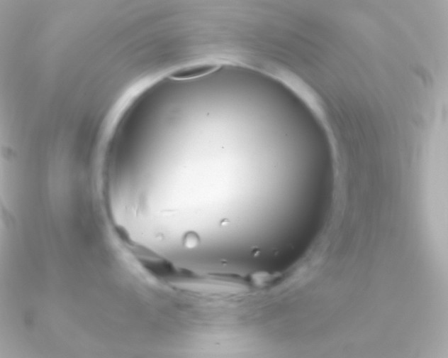 X0000090951104200708021332