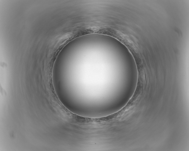 X0000090951105200708021331