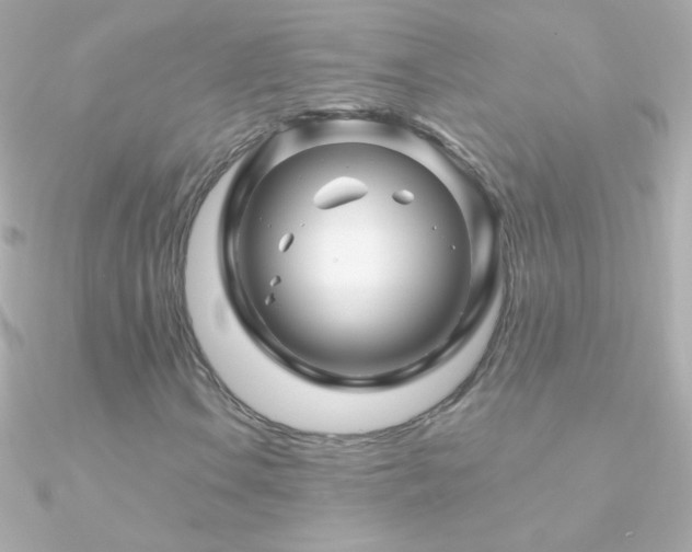X0000090951106200708021331