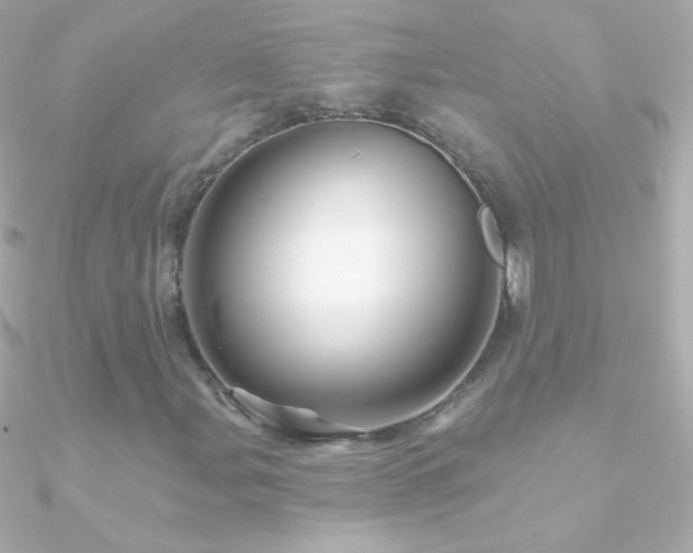 X0000090951107200708021331