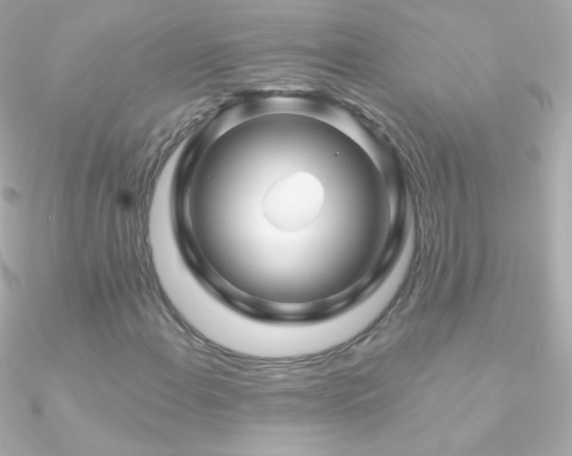 X0000090951108200708021331