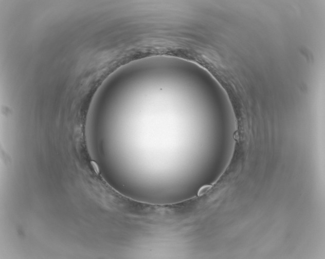 X0000090951109200708021331