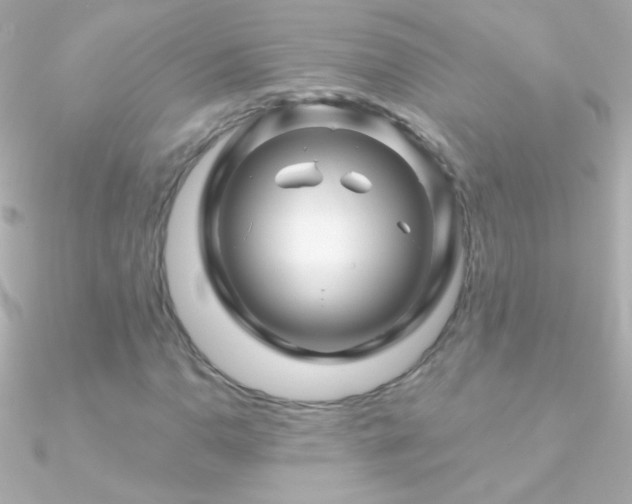 X0000090951110200708021331