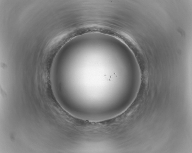 X0000090951111200708021331
