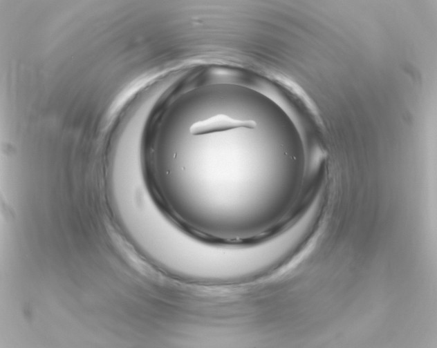 X0000090951114200708021331