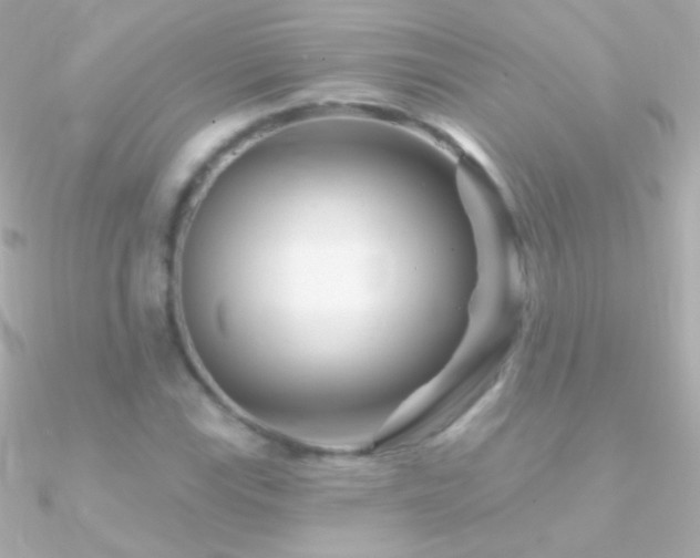 X0000090951115200708021331