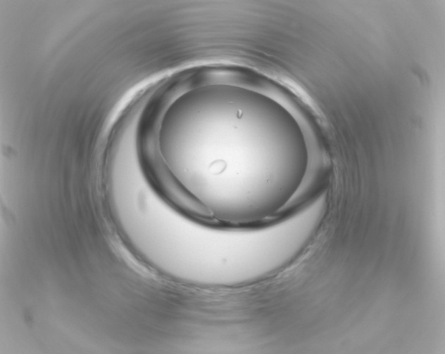 X0000090951116200708021331