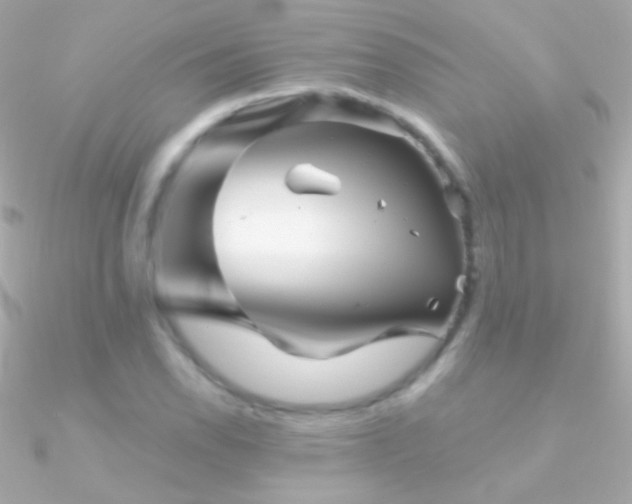 X0000090951118200708021331