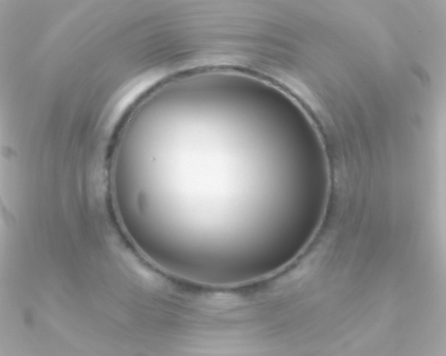 X0000090951119200708021331