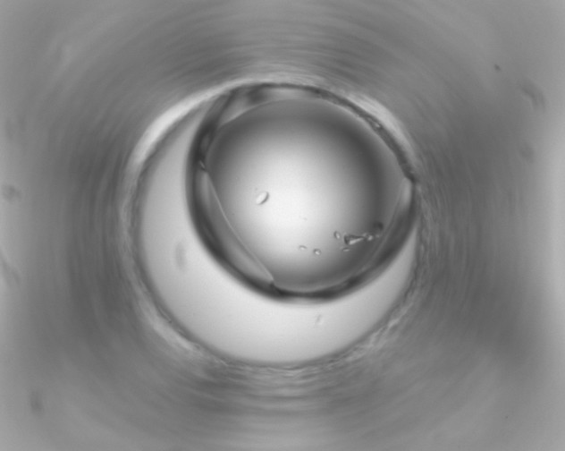 X0000090951120200708021331