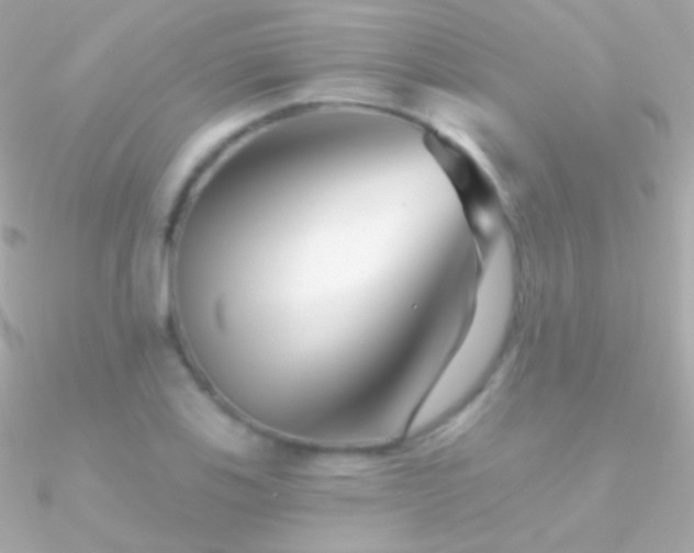 X0000090951123200708021331