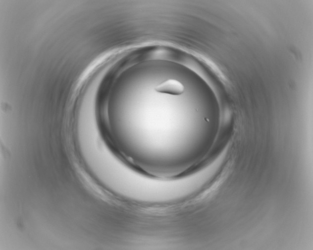 X0000090951126200708021331