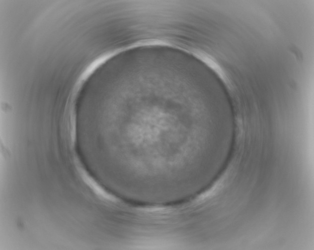 X0000090951127200708021331