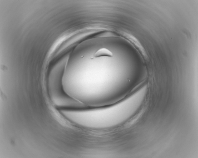 X0000090951130200708021331