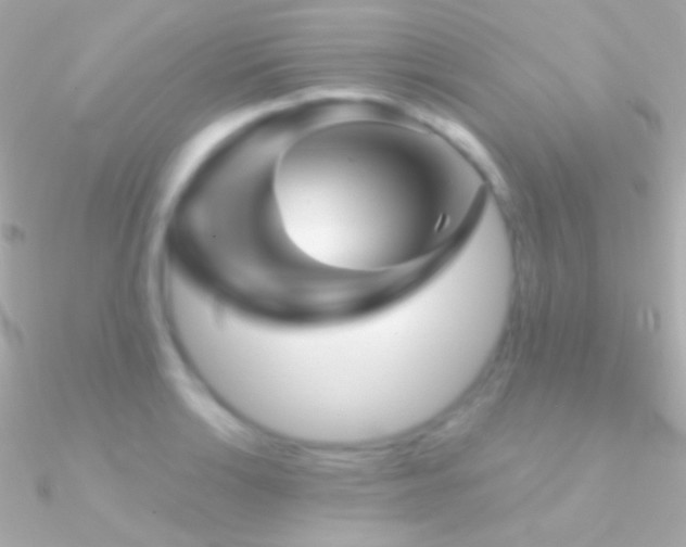 X0000090951132200708021331