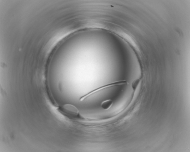 X0000090951133200708021331