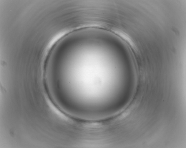 X0000090951135200708021331