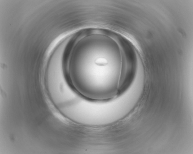 X0000090951136200708021331