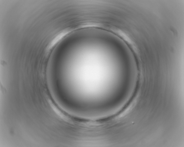 X0000090951137200708021331