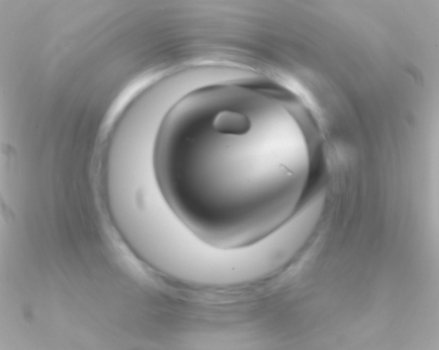 X0000090951138200708021331