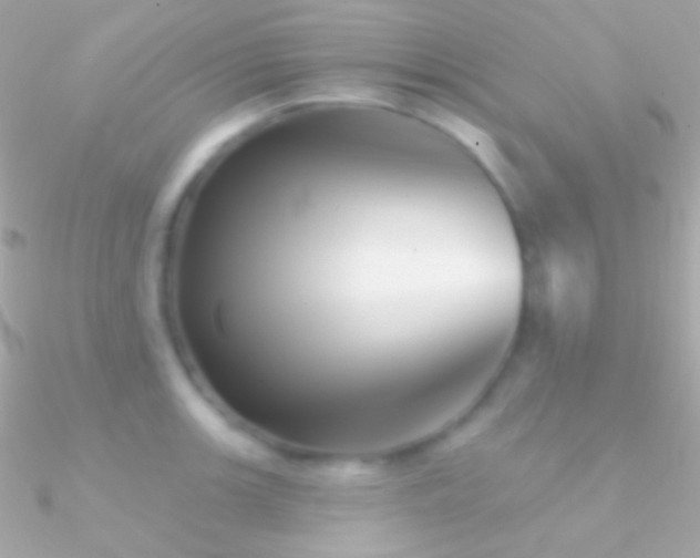 X0000090951139200708021331