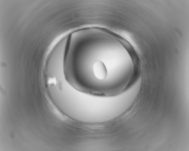 X0000090951140200708021331