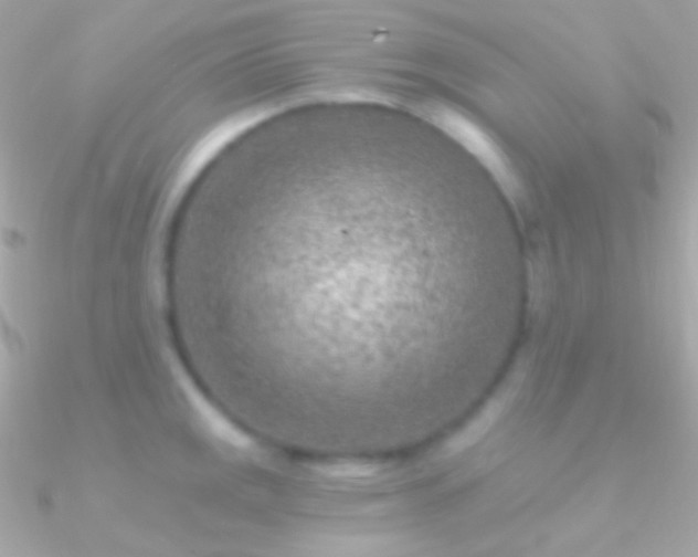 X0000090951141200708021331