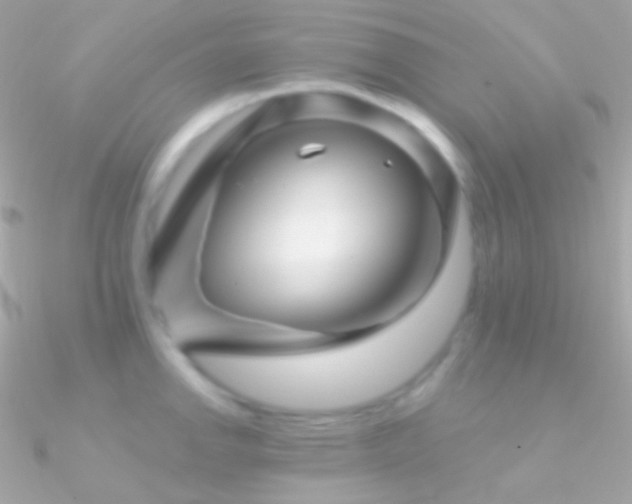 X0000090951142200708021331