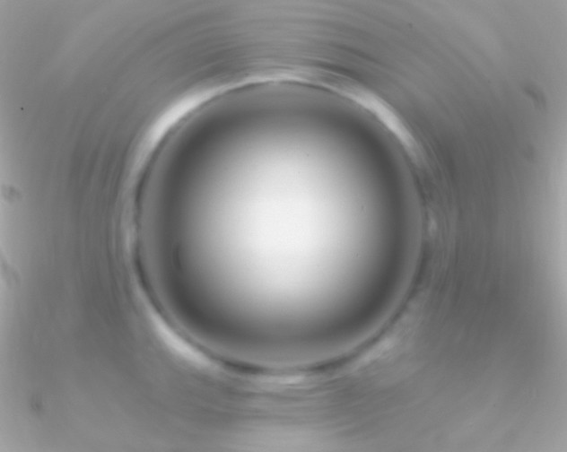 X0000090951143200708021331