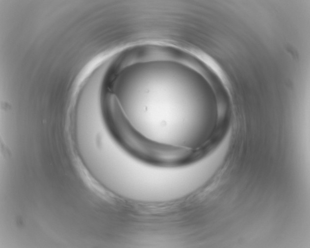 X0000090951144200708021331