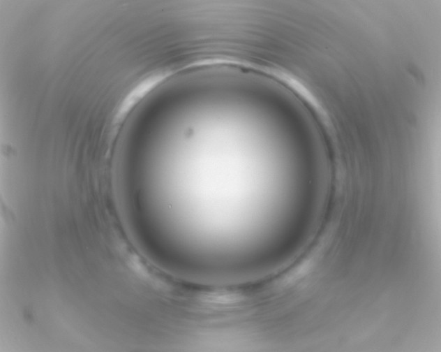 X0000090951145200708021331