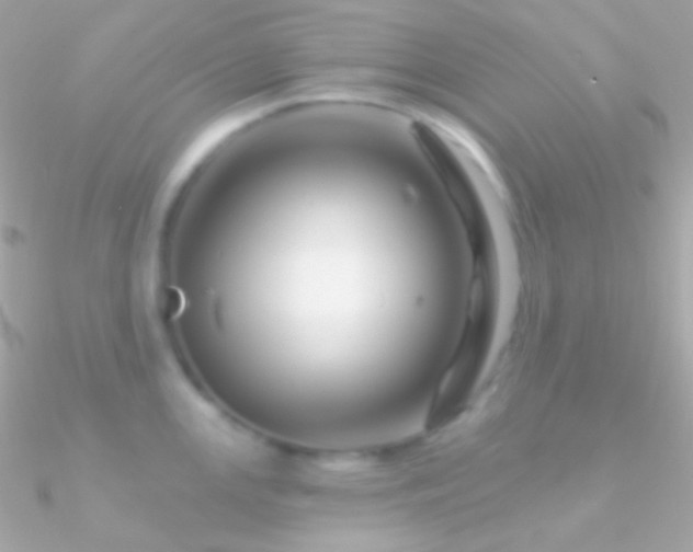 X0000090951147200708021331